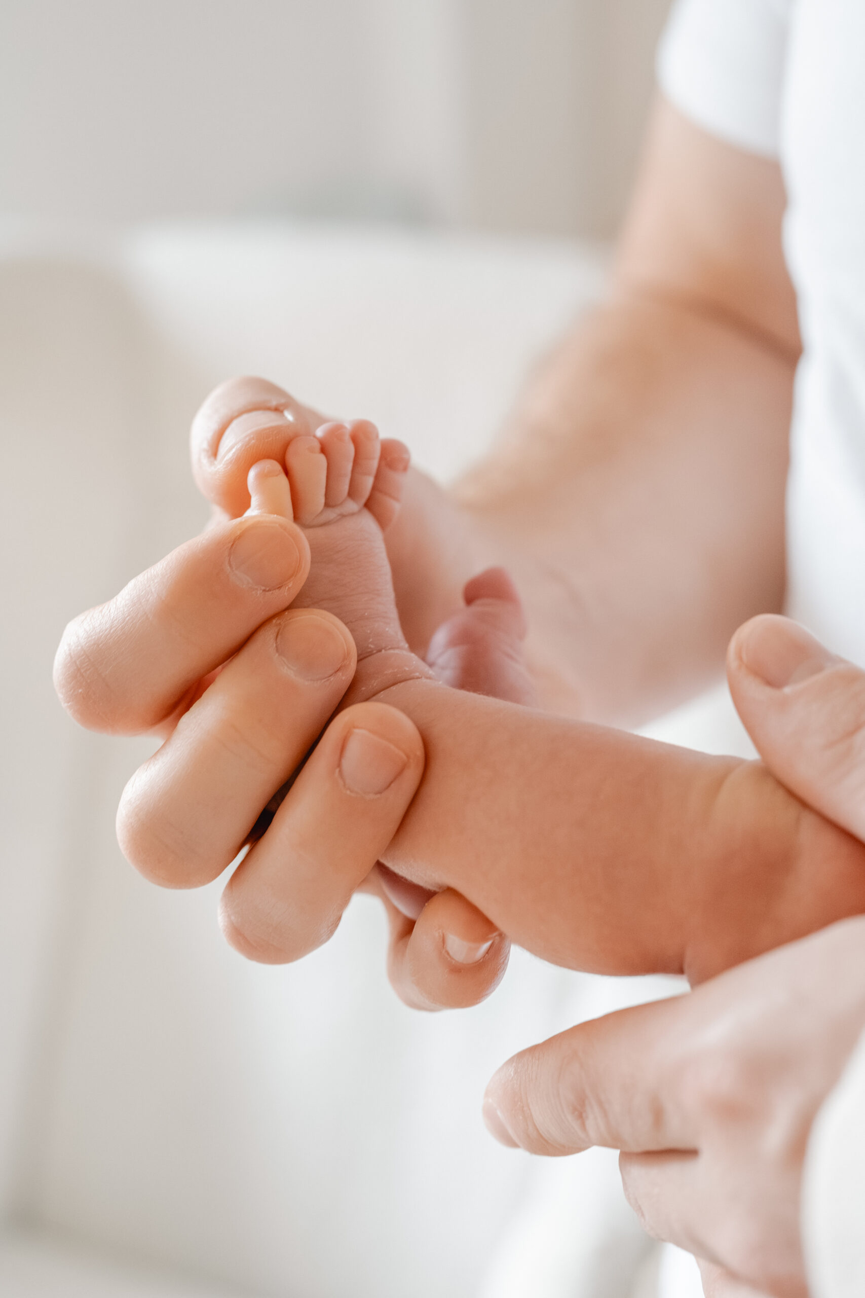 202511_Francine_cc_annalenawulff.de70